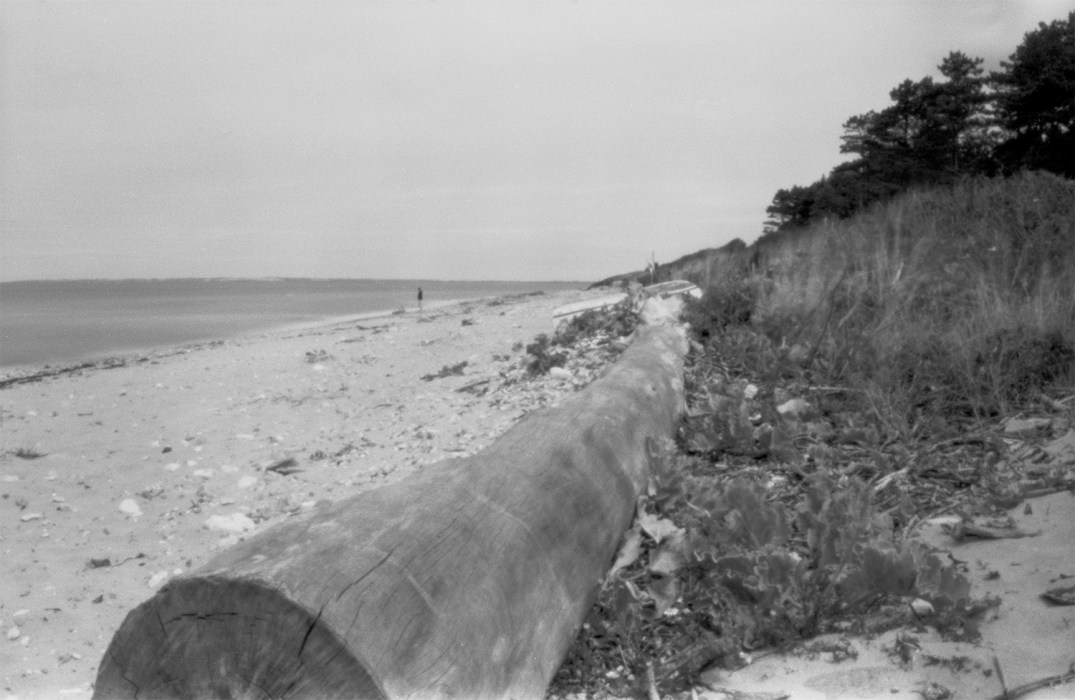 F64N7_Log_VeddingeStrand_DK_bearb