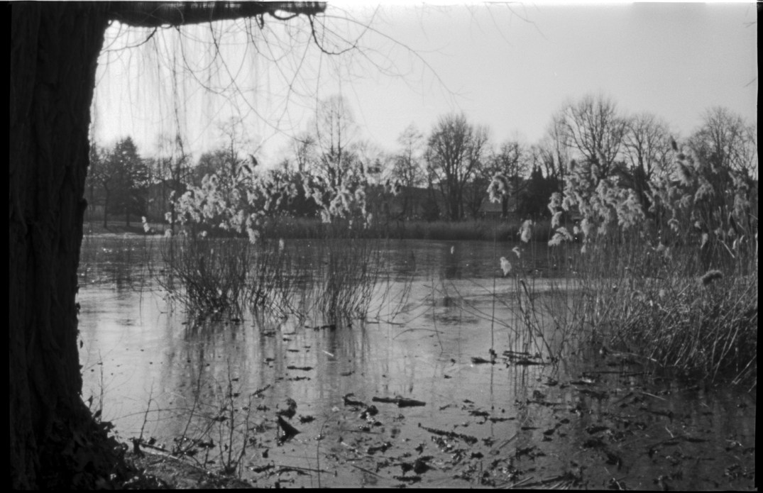 F30_N1_Dorfteich_LiRa